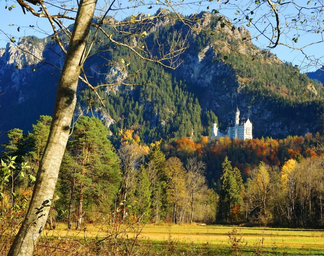 Branderschrofen Apartment Schwangau Exterior foto